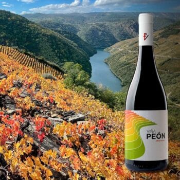 ViñaPeon-mencia-ribeira-sacra