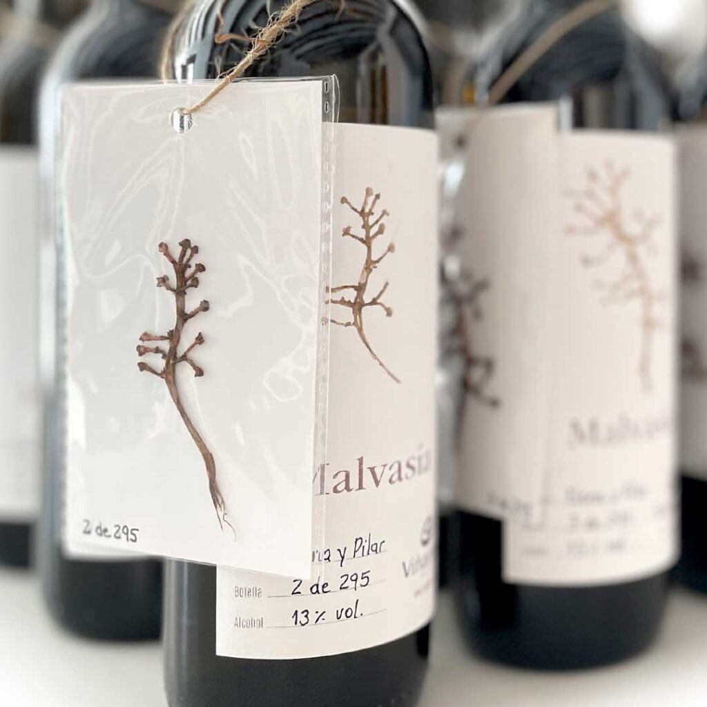 Etiquetas vino Malvasia