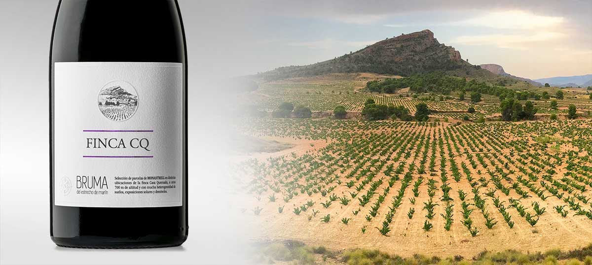 Bruma, Finca CQ