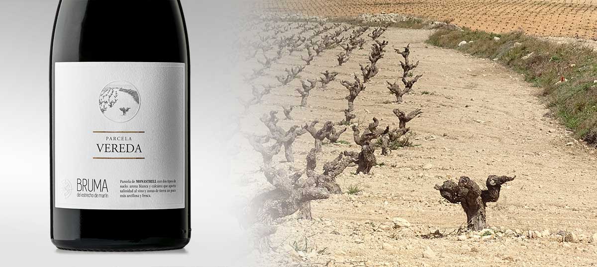 Bruma, Parcela Vereda