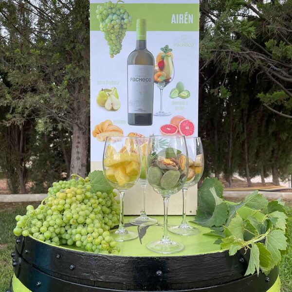 Exposición cata vino blanco