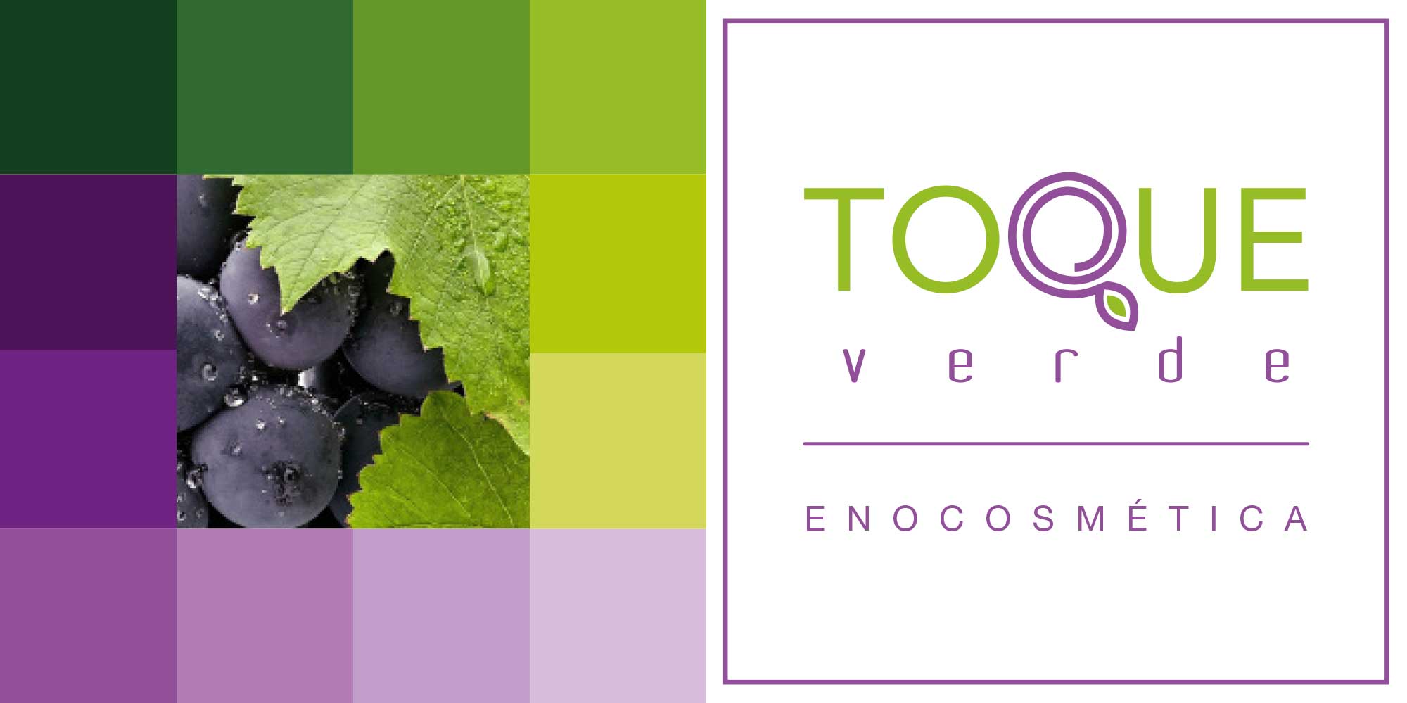 Enocosméstica, Toque Verde. Logotipo y color