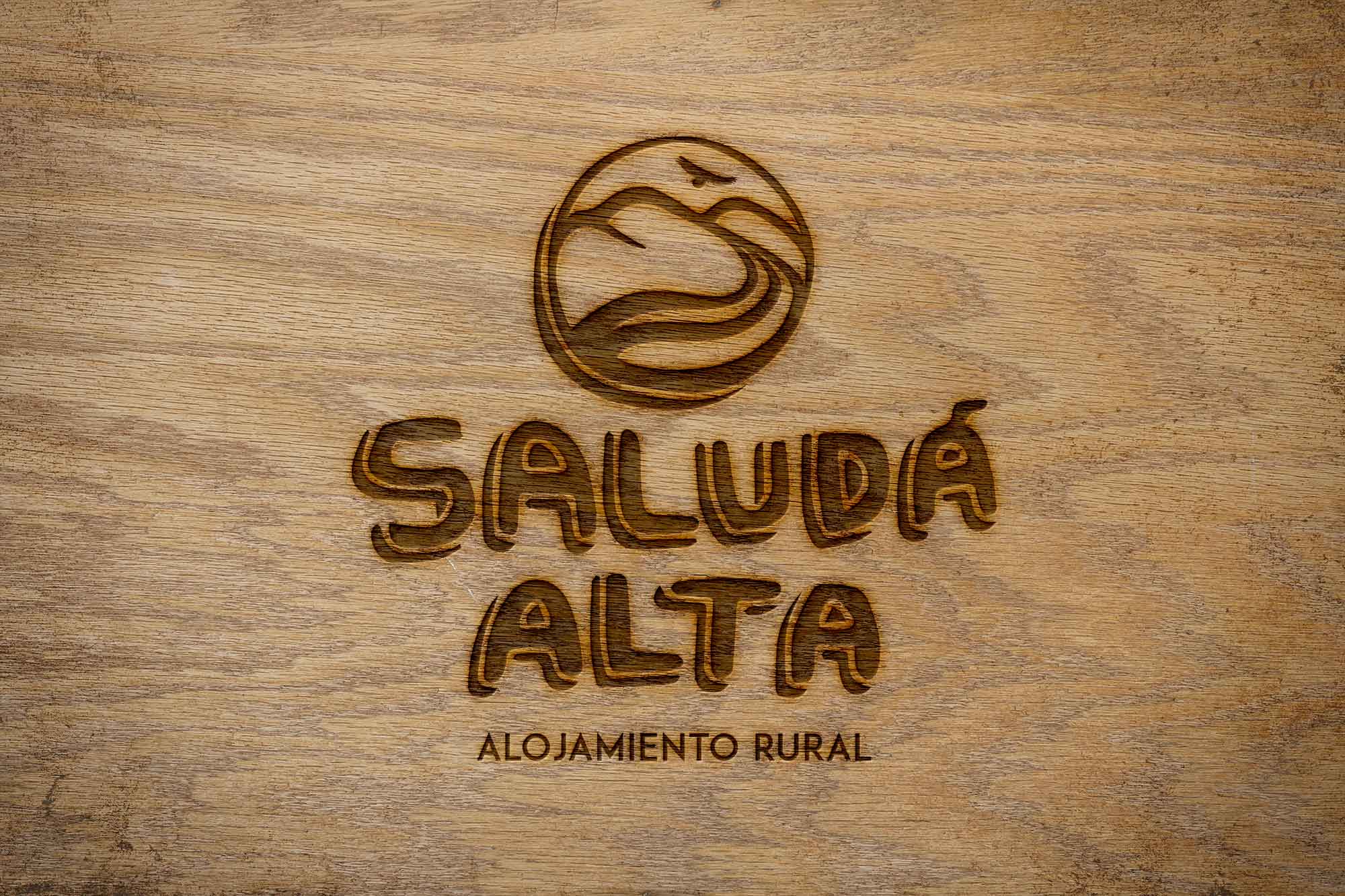 Saluda Allta alojamiento rural